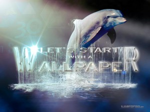 Lee más sobre el artículo Tutorial Photoshop // Wallpaper delfín nocturno